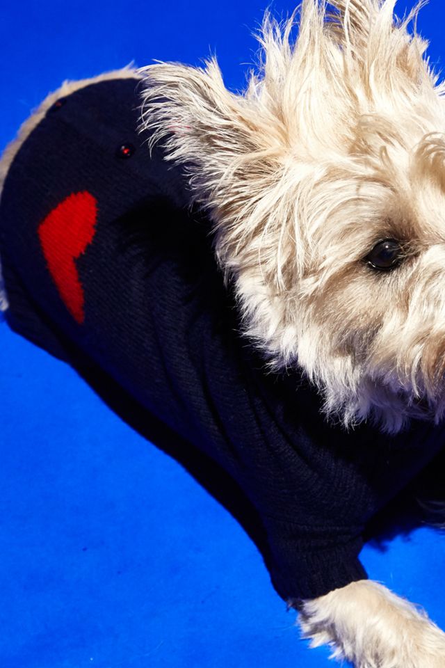 Ware of the Dog Heart Cardigan #1