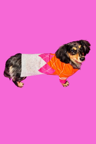 Ware of the Dog Argyle Sweater