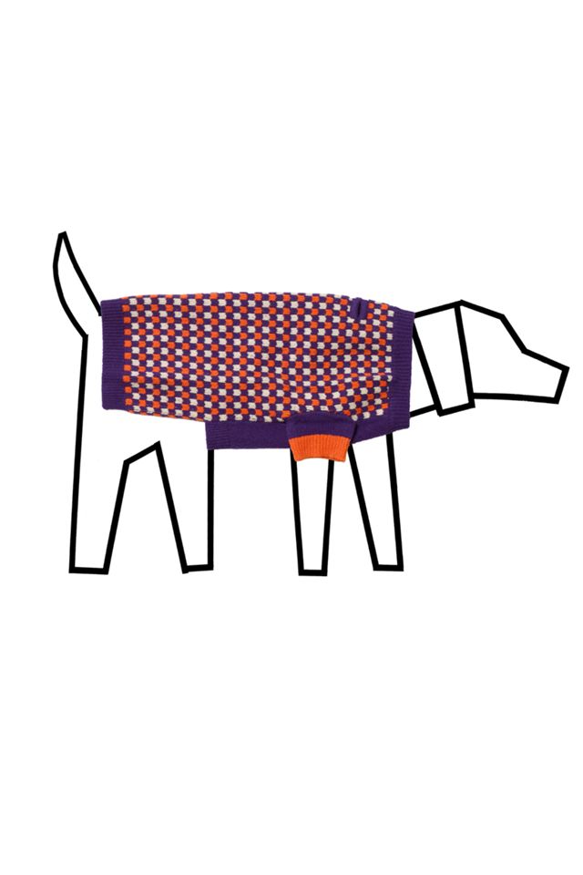 Ware of the Dog Check Sweater #1