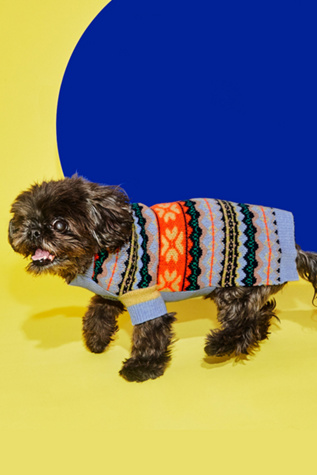 Ware of the Dog Fairisle Floral Sweater