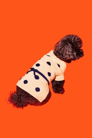 Ware of the Dog Dot Bow Sweater