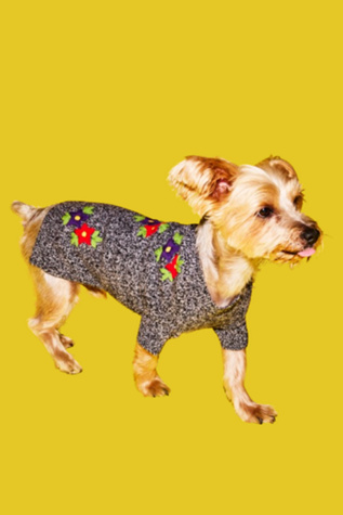 Ware of the Dog Embroidered Flower Sweater