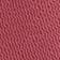 Rose corail