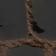 Black Croc Emboss