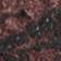 Pepper Snake Print