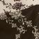 Geo Vine Floral Chocolate / Cream