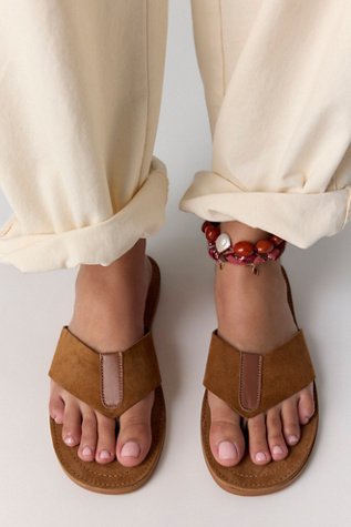 Niko Thong Sandals by Free People in Brown, Size: US 9