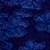 Blueprint
