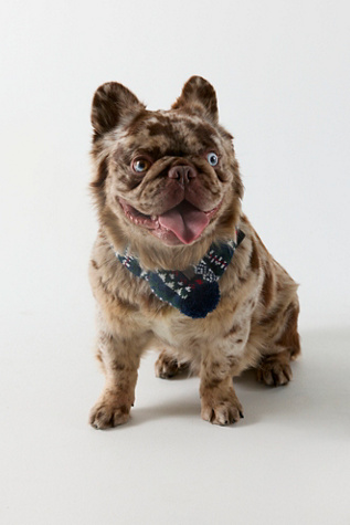 Barbour Marlow Fairisle Dog Scarf