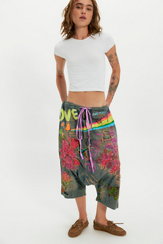 Magnolia Pearl Frankie Embroidered Shorts at Free People