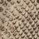 Snake Print