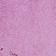 Motif Violet