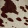 Brown Cow