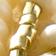 Ivory & Gold