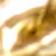 Or / Diamant