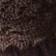 Brown Stone