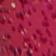 Dragonfruit