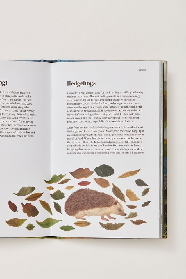 The Wildlife Year #3