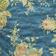 Blue Pattern