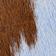 Blue And Brown