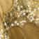 Gold Rush