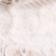 Alysson Blanc