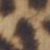 Cheetah Patch