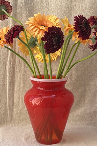 Murano Style Flower Vase Selected by Bohhaus