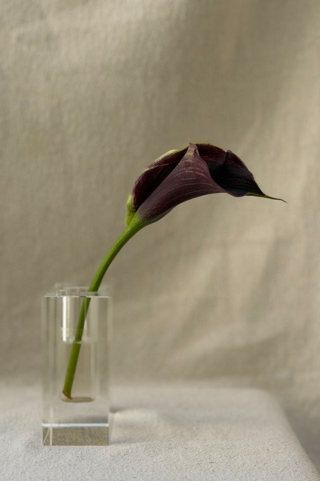 Rectangle Glass Block Bud Vase Selected by Bohhaus #1