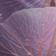 Phoria