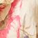 Cream / Pink