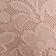 Cameo Rose