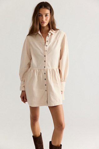 Marris Denim Mini Dress