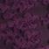 Italian Plum