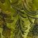 Envy Paisley Burnout