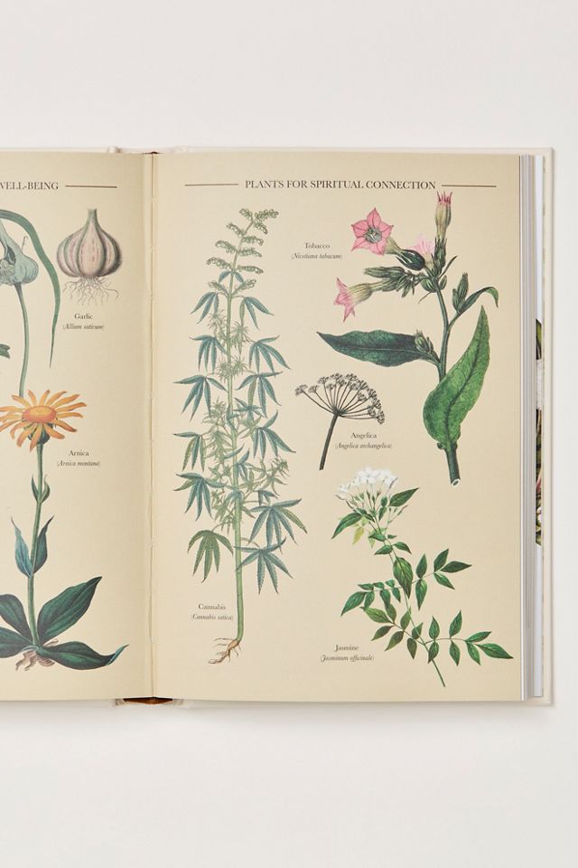 A Practical Guide to Magic in Nature #2