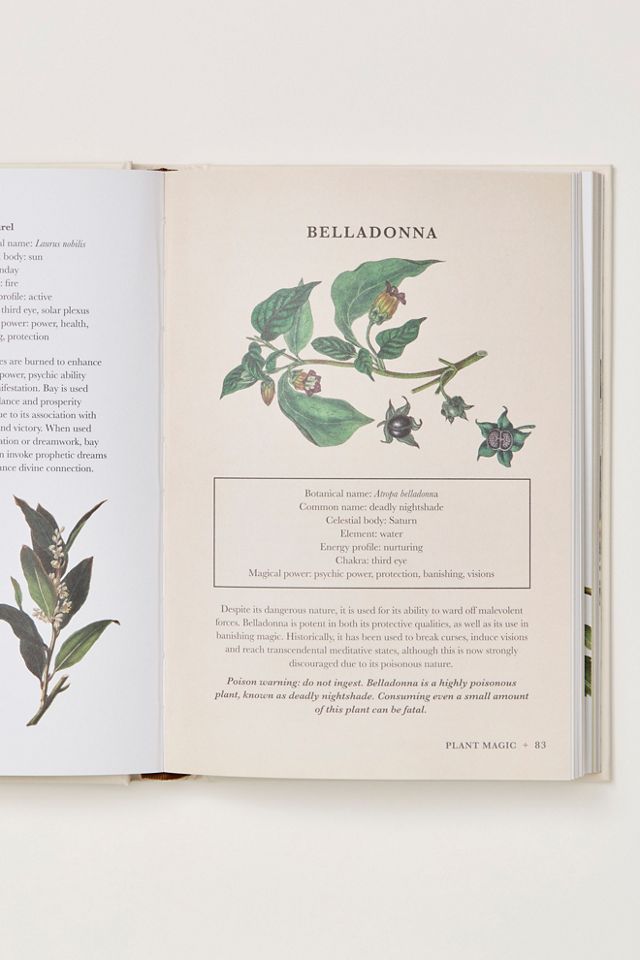 A Practical Guide to Magic in Nature #3