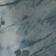 Marble Blue