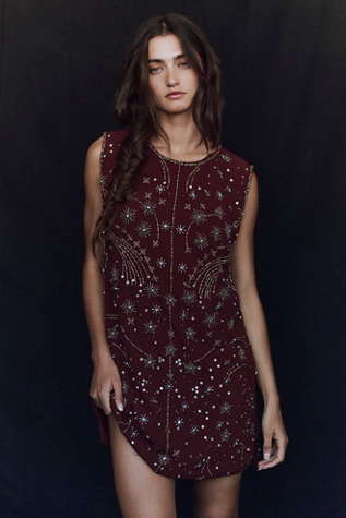 Женское платье Free People Brighter Days Mini, цвет: Шоколадный комбинированный — фото 2