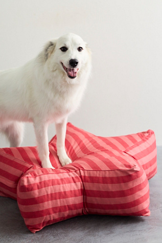Bobo Star Beanbag Dog Bed