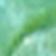 Green Multi