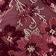 Magenta Rose