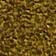Moss