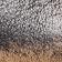 Black Rub Off