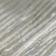 Silver Shell