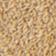 Desert Sand