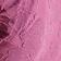 Dry Rose