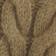 Sand Dune