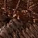 Chocolat