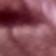 Medium Pink